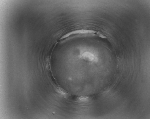 X0000063470189200602031909