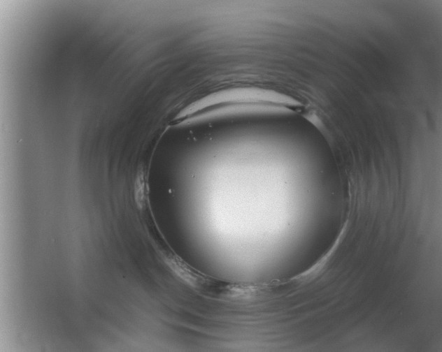 X0000063470190200602031909