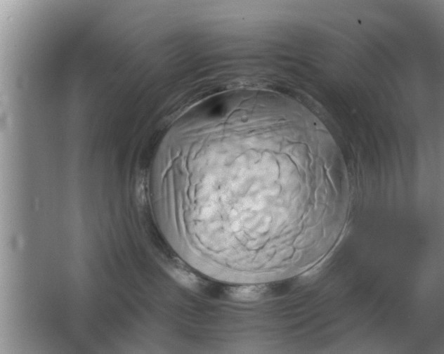 X0000063470191200602031909