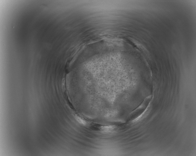 X0000063470192200602031909