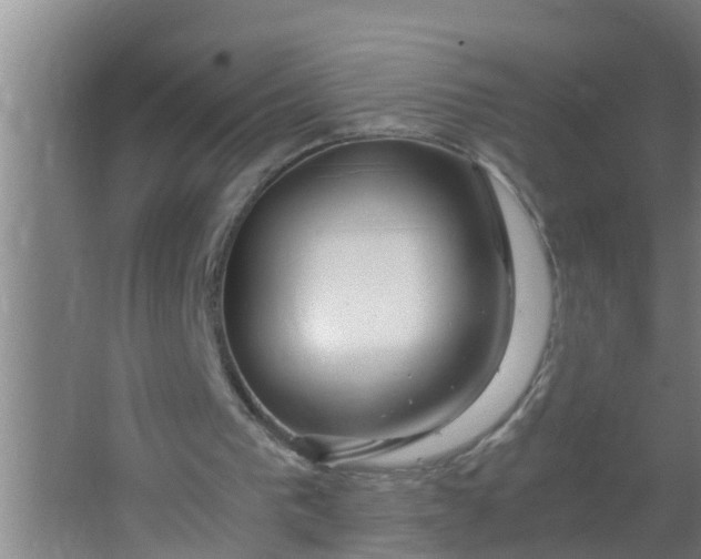 X0000063470193200602031908