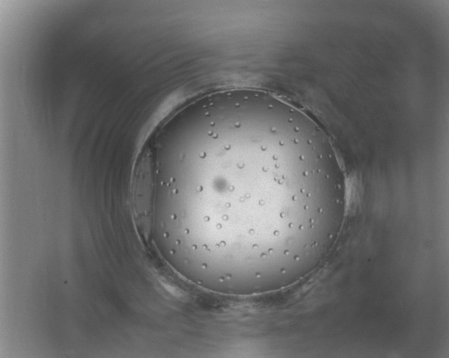 X0000063470195200602031908