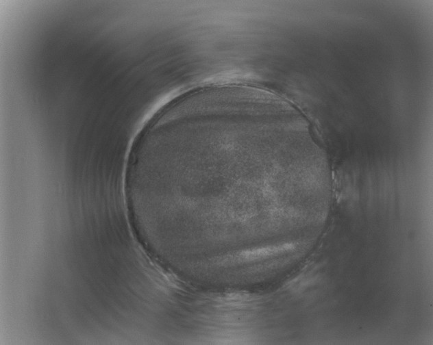 X0000063470196200602031908