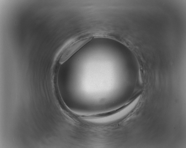 X0000063470197200602031908