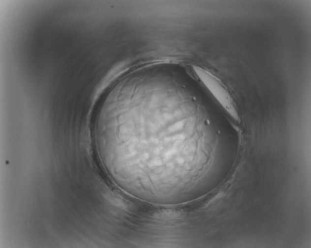 X0000063470198200602031908