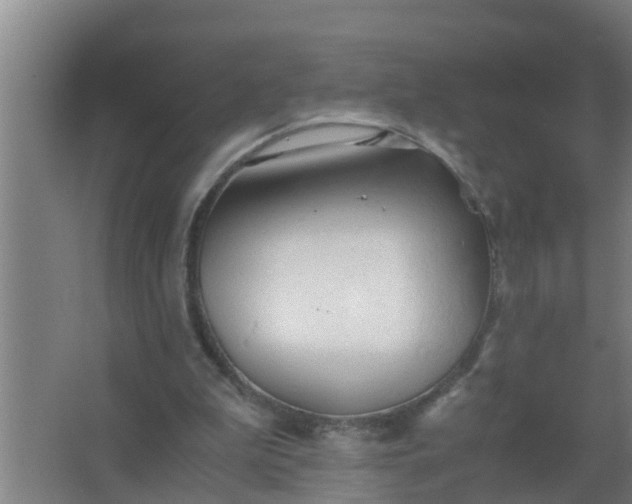 X0000063470199200602031908