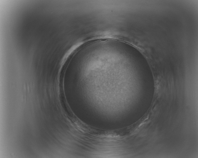 X0000063470200200602031908