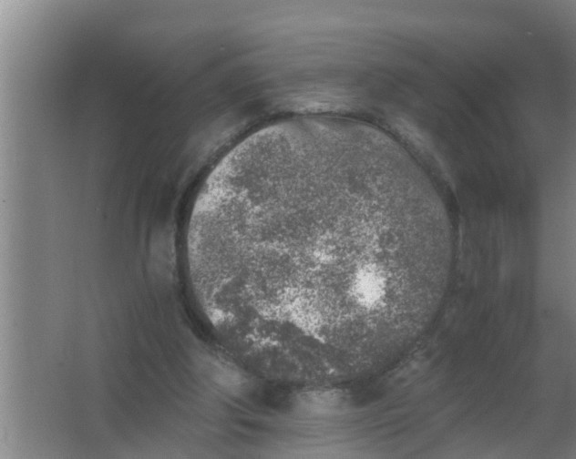 X0000063470202200602031908