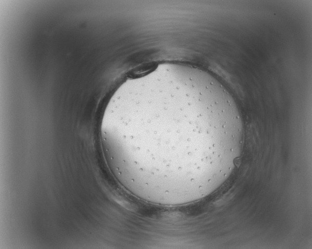 X0000063470203200602031908