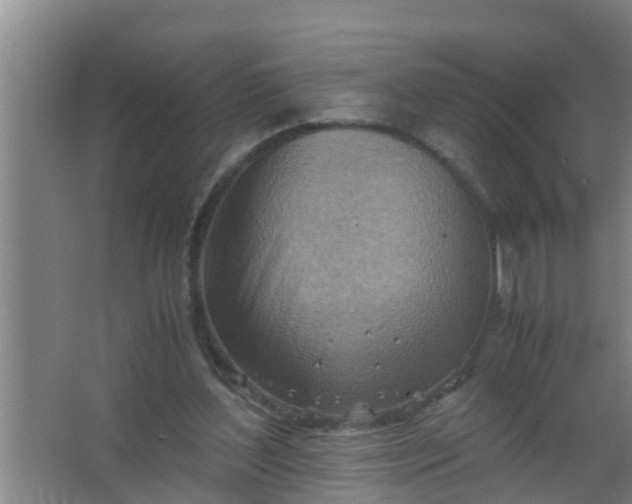 X0000063470204200602031908