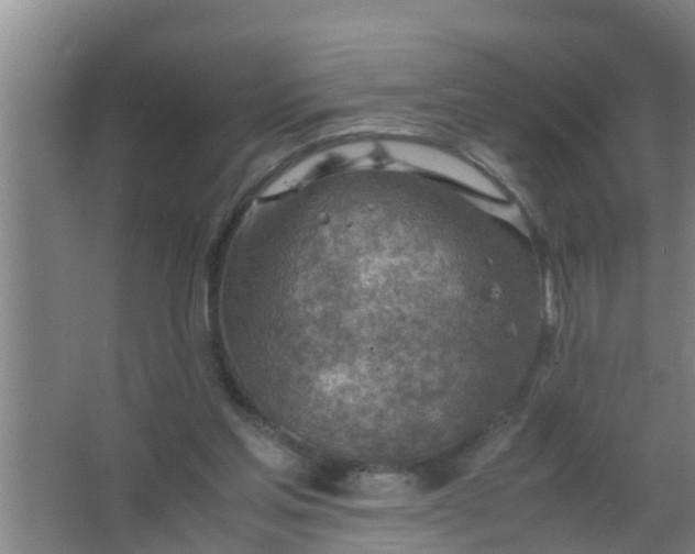 X0000063470205200602031908