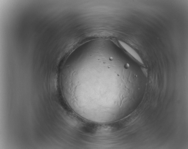 X0000063470206200602031908