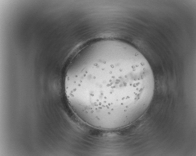 X0000063470208200602031908