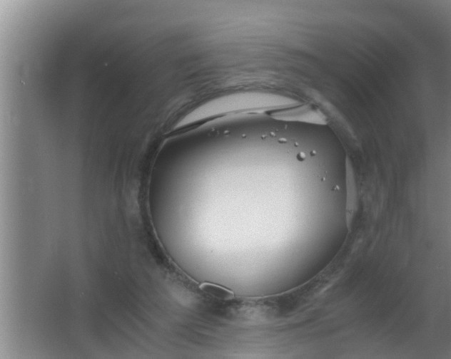 X0000063470209200602031908