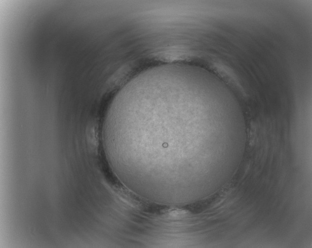 X0000063470210200602031908