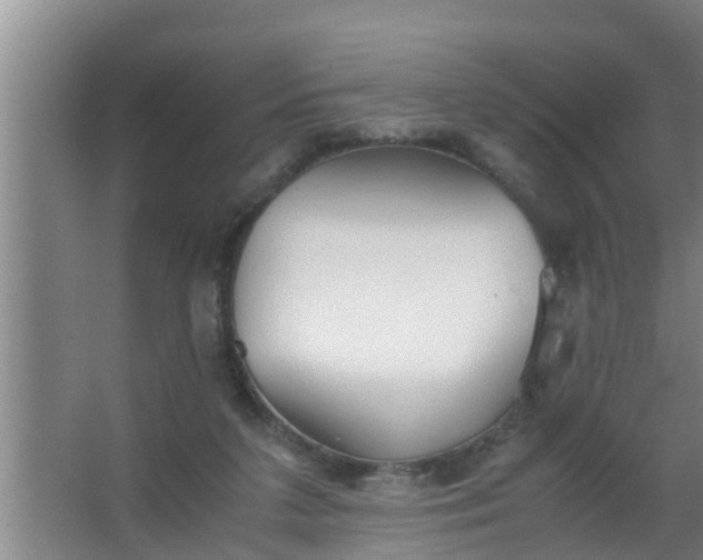 X0000063470211200602031908