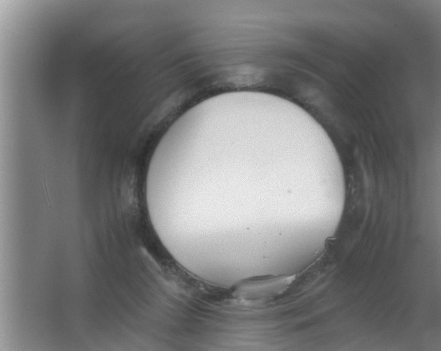 X0000063470212200602031908