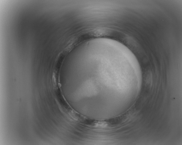 X0000063470214200602031908