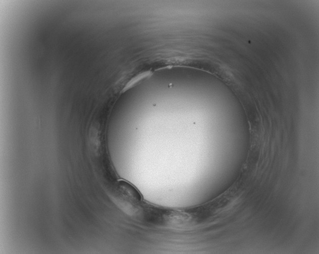 X0000063470215200602031908