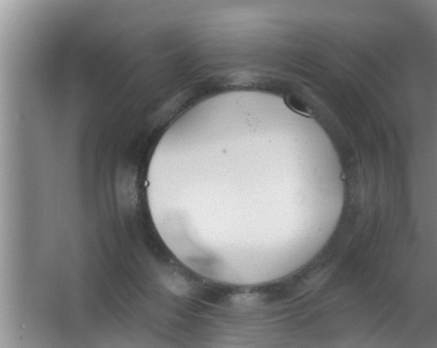 X0000063470216200602031908