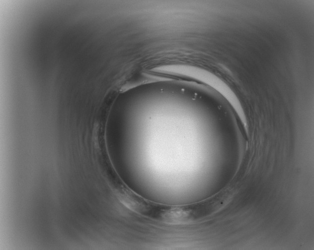 X0000063470217200602031908