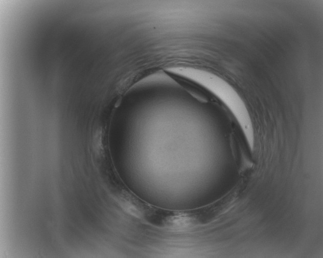 X0000063470219200602031908