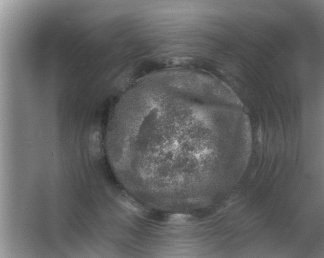 X0000063470222200602031908