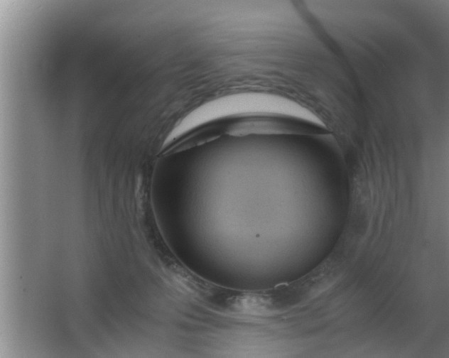 X0000063470223200602031908