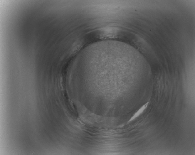 X0000063470224200602031908