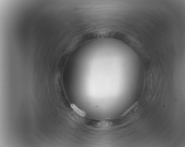 X0000063470225200602031908