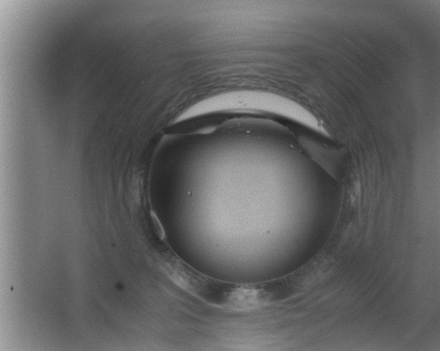 X0000063470227200602031908