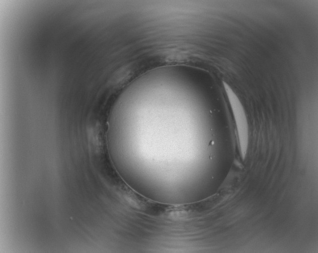 X0000063470228200602031908