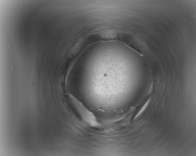 X0000063470229200602031908