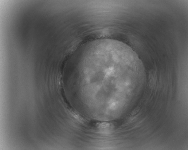 X0000063470230200602031908