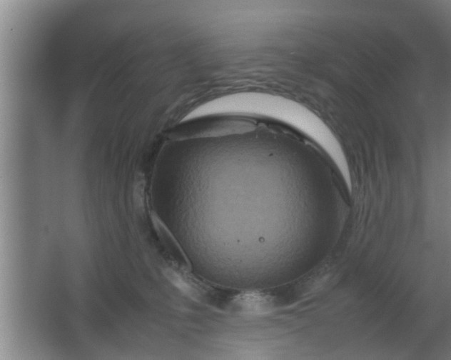 X0000063470231200602031908