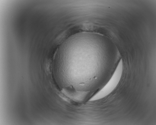 X0000063470233200602031908