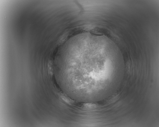 X0000063470234200602031908