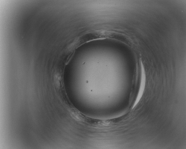 X0000063470235200602031908