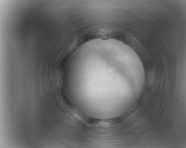 X0000063470236200602031908