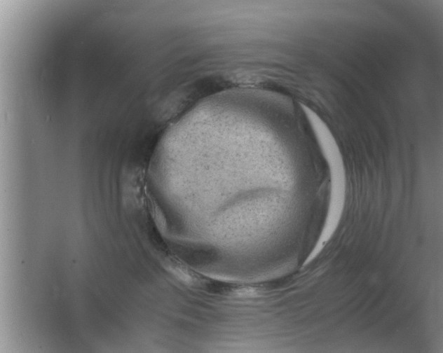 X0000063470237200602031908