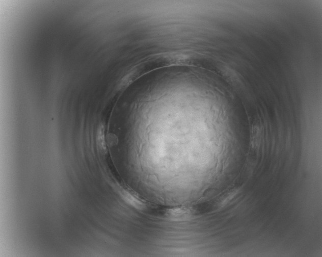 X0000063470238200602031908