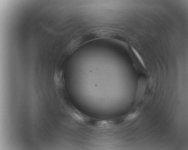 X0000063470239200602031908