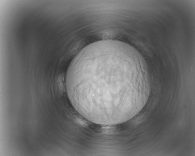 X0000063470240200602031908