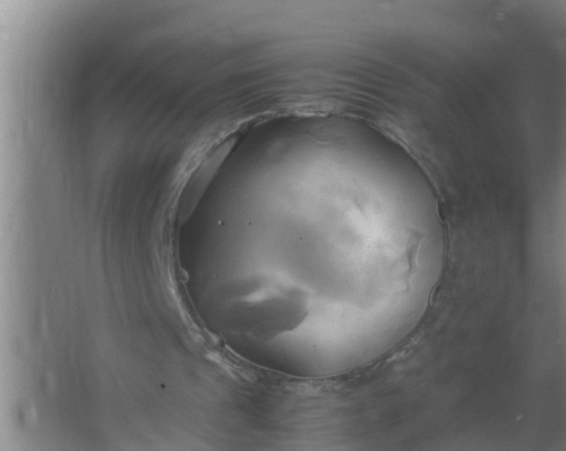 X0000063470241200602031907