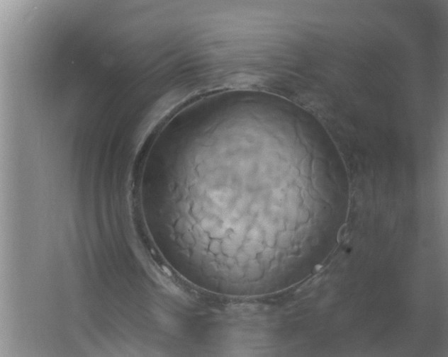 X0000063470242200602031907