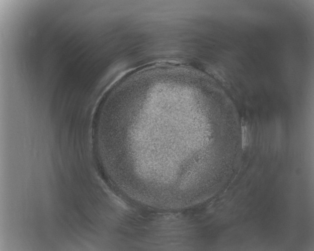 X0000063470243200602031907