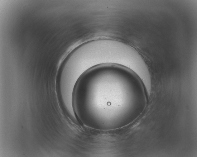 X0000063470244200602031907