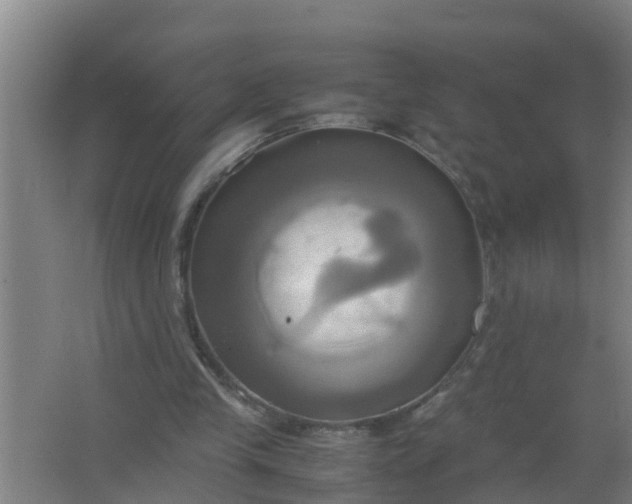 X0000063470245200602031907