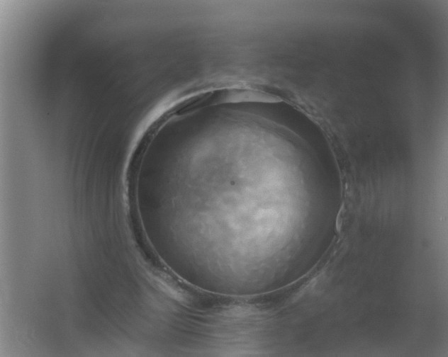 X0000063470246200602031907