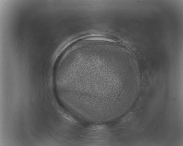 X0000063470247200602031907